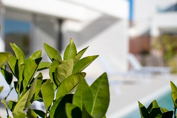 Fantastiska nyproducerade villor i två plan - Lotus Properties