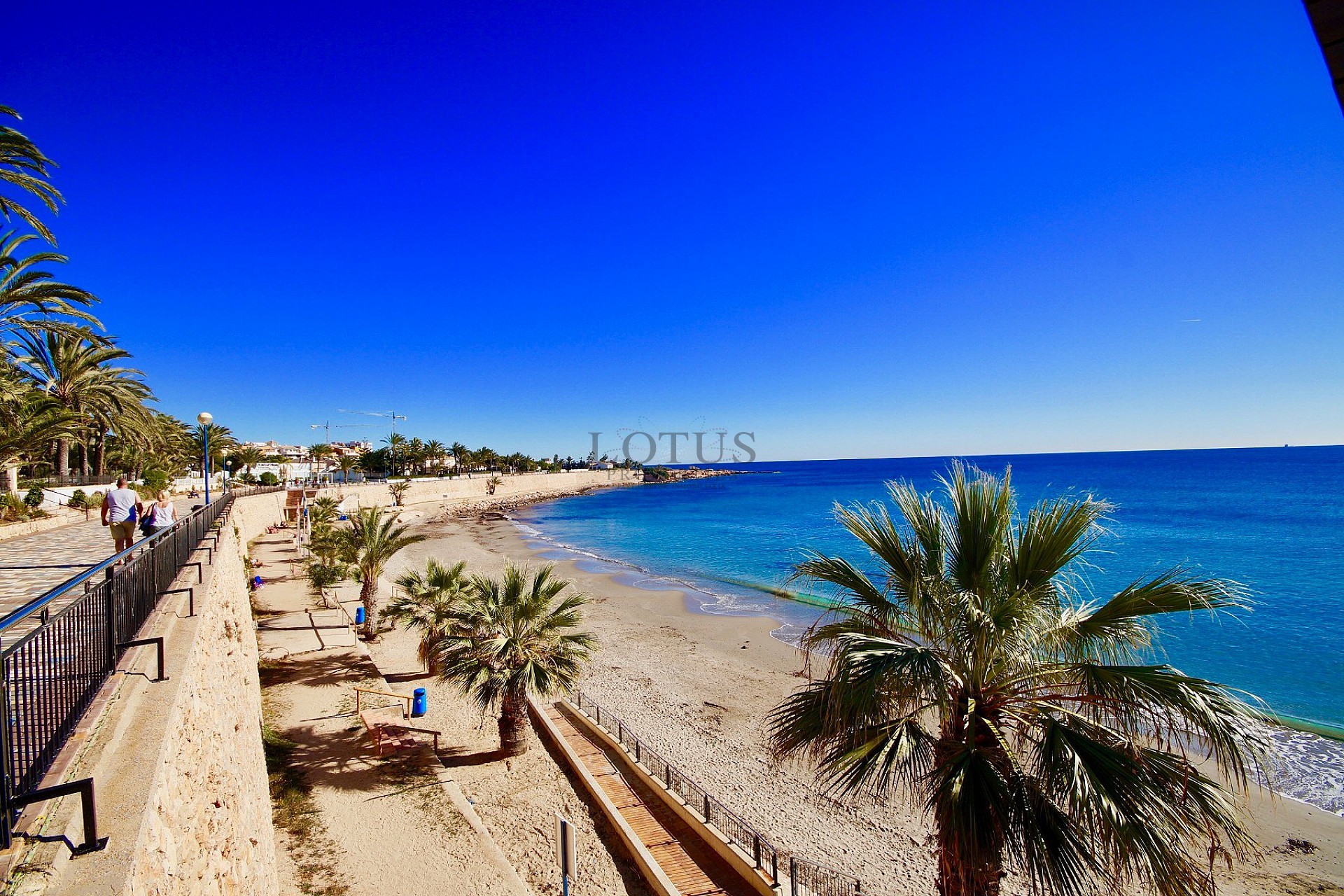 3 Sovrum Villa Monteolivo - Los Altos - Lotus Properties