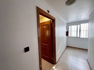 TAKLÄGENHET MED HAVSUTSIKT I TORREVIEJA - Lotus Properties