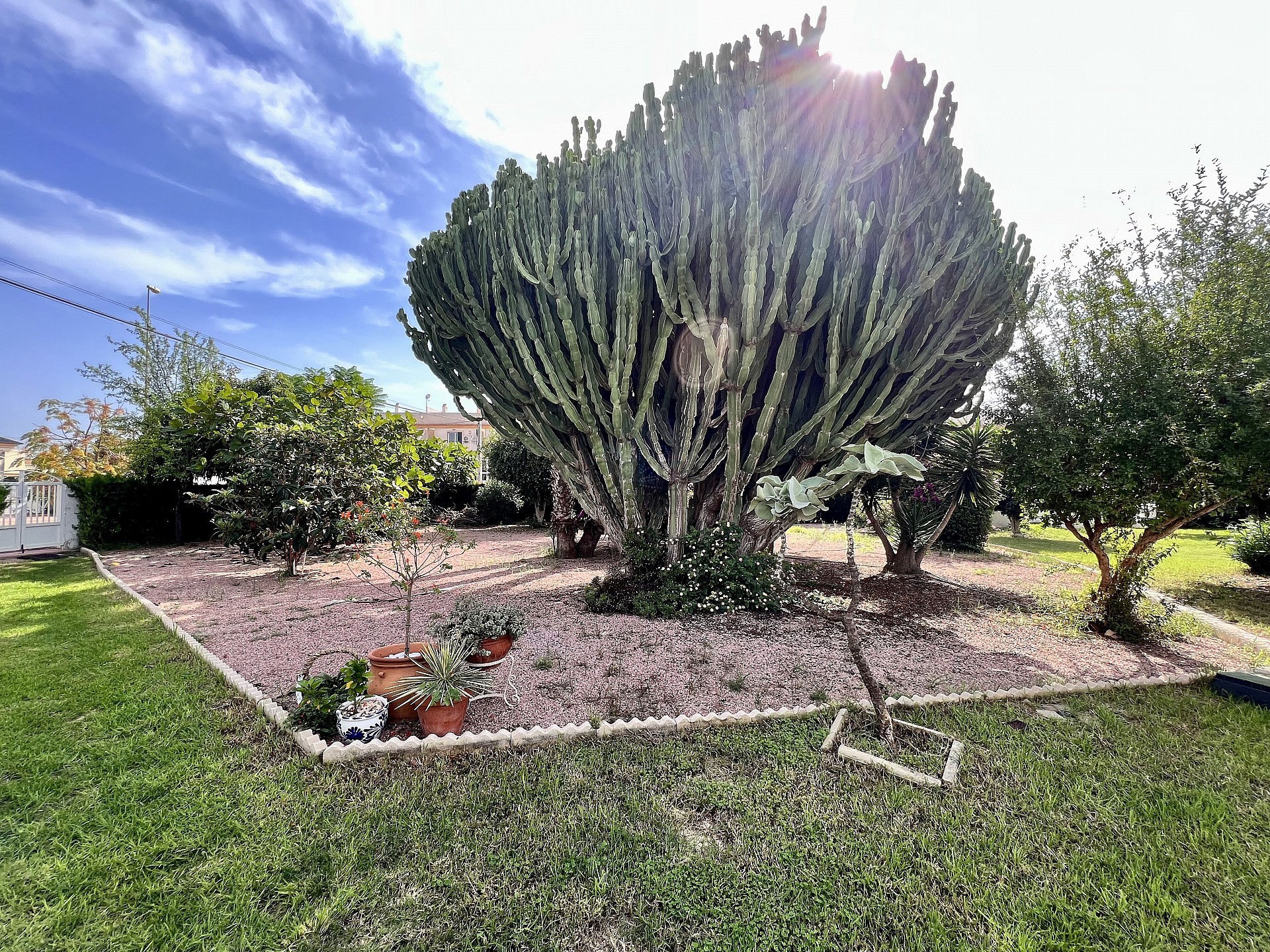 Renoverad enplanshus i La Florida - Lotus Properties