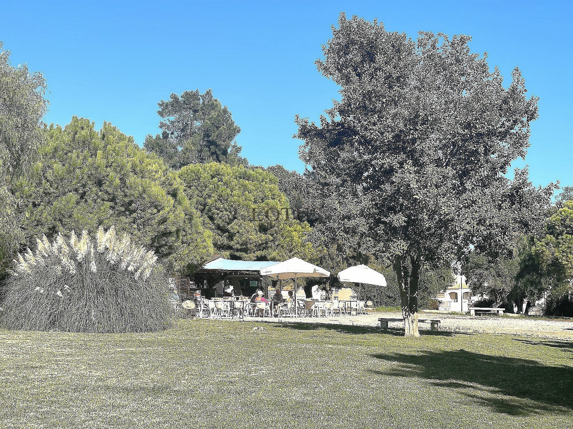 Ático en cotizada Urb. ¡Altos de la Bahía XI con azotea y vista al mar! - Lotus Properties