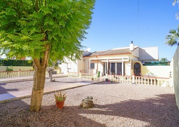 Vacker 3 sovrums villa med privat pool i San Luis  - Lotus Properties