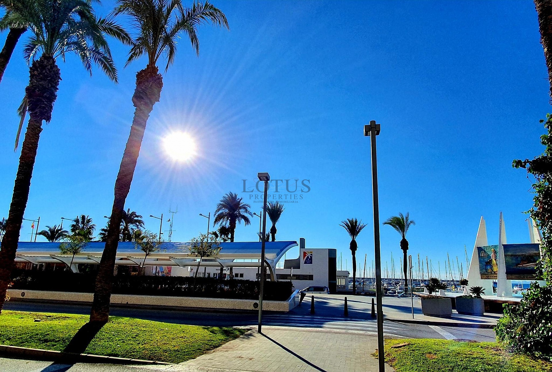 Fantastiskt läge 100 meter från Havet - Torrevieja  - Lotus Properties