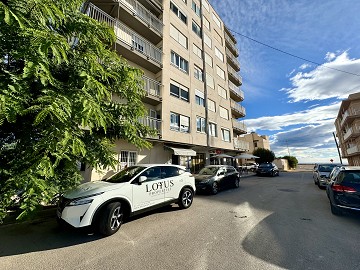 Fantastiskt läge 100 meter från Havet - Torrevieja  - Lotus Properties