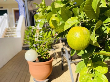 Radhus i vackra Residencial Albamar i Ciudad Quesada - Lotus Properties