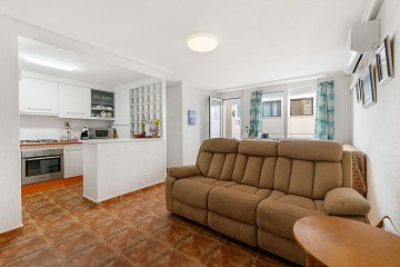 3 bedroom apartment only 300 meters to La Mata beach! - Lotus Properties