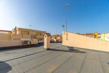 3 bedroom apartment only 300 meters to La Mata beach! - Lotus Properties