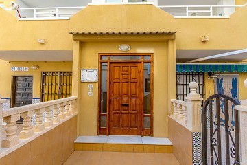3 bedroom apartment only 300 meters to La Mata beach! - Lotus Properties