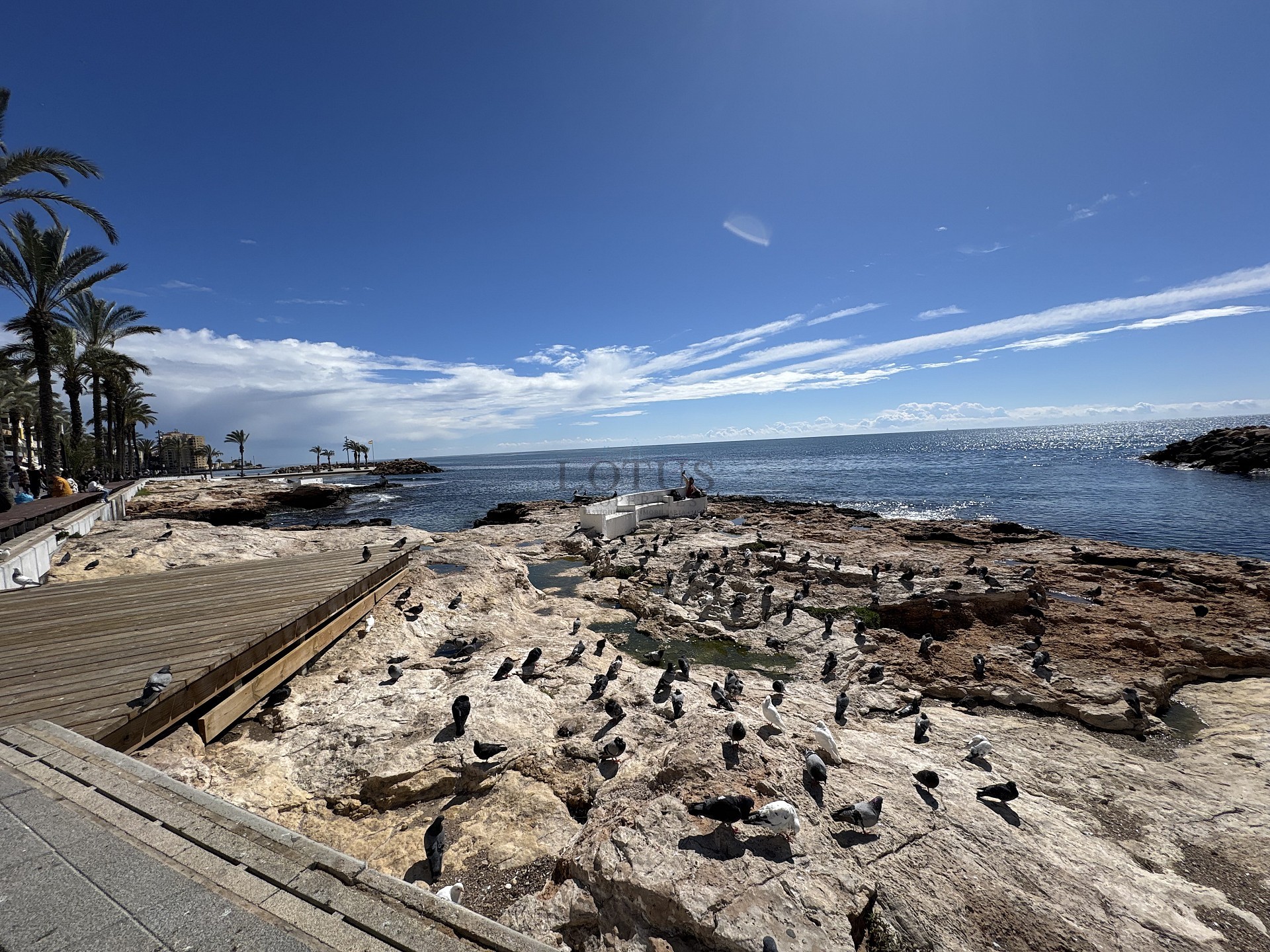 Renoverad med 3 sov, 200 m till havet  - Lotus Properties