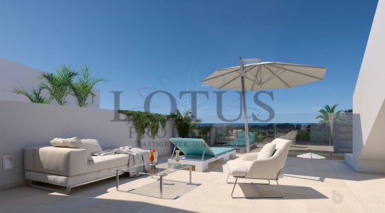 Lotus Properties