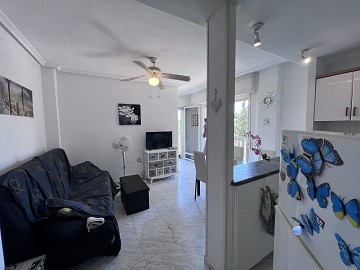 Centralt belägen lägenhet i torrevieja  - Lotus Properties