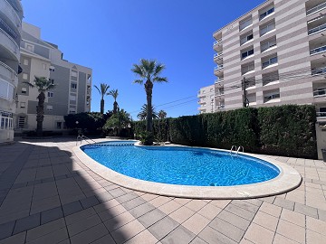 Centralt belägen lägenhet i torrevieja  - Lotus Properties