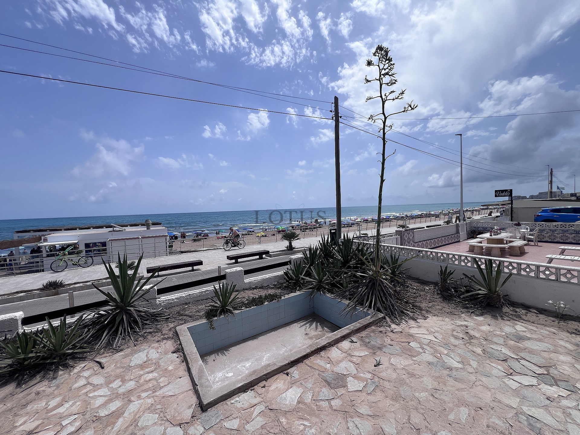 Renoverad hus, första linjen La Mata strand - Lotus Properties