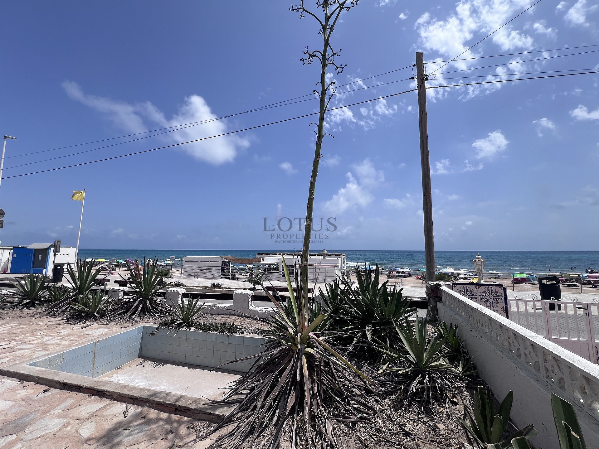 Renoverad hus, första linjen La Mata strand - Lotus Properties