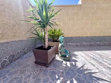 Nyrenoverad enplans radhus i Torreta - Lotus Properties