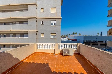 Rymligt hörnradhus med 4 sovrum och flera terrasser - Lotus Properties