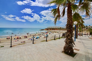 Nya lägenheter 700 m till stranden - Playa Flamenca - Lotus Properties