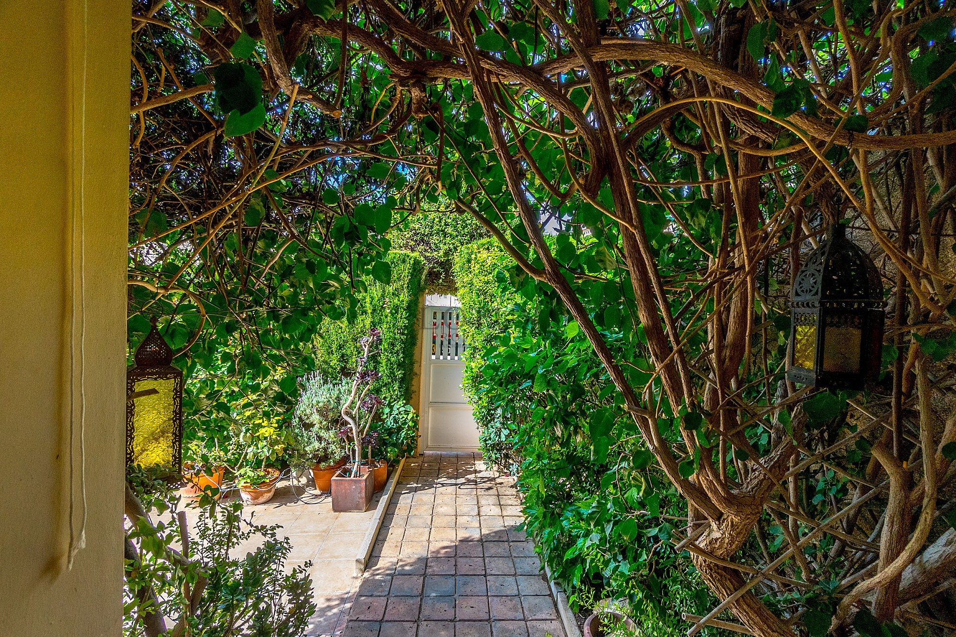 Super mysig markplan i populära Rocio II i hjärtat av Aguas Nuevas  - Lotus Properties