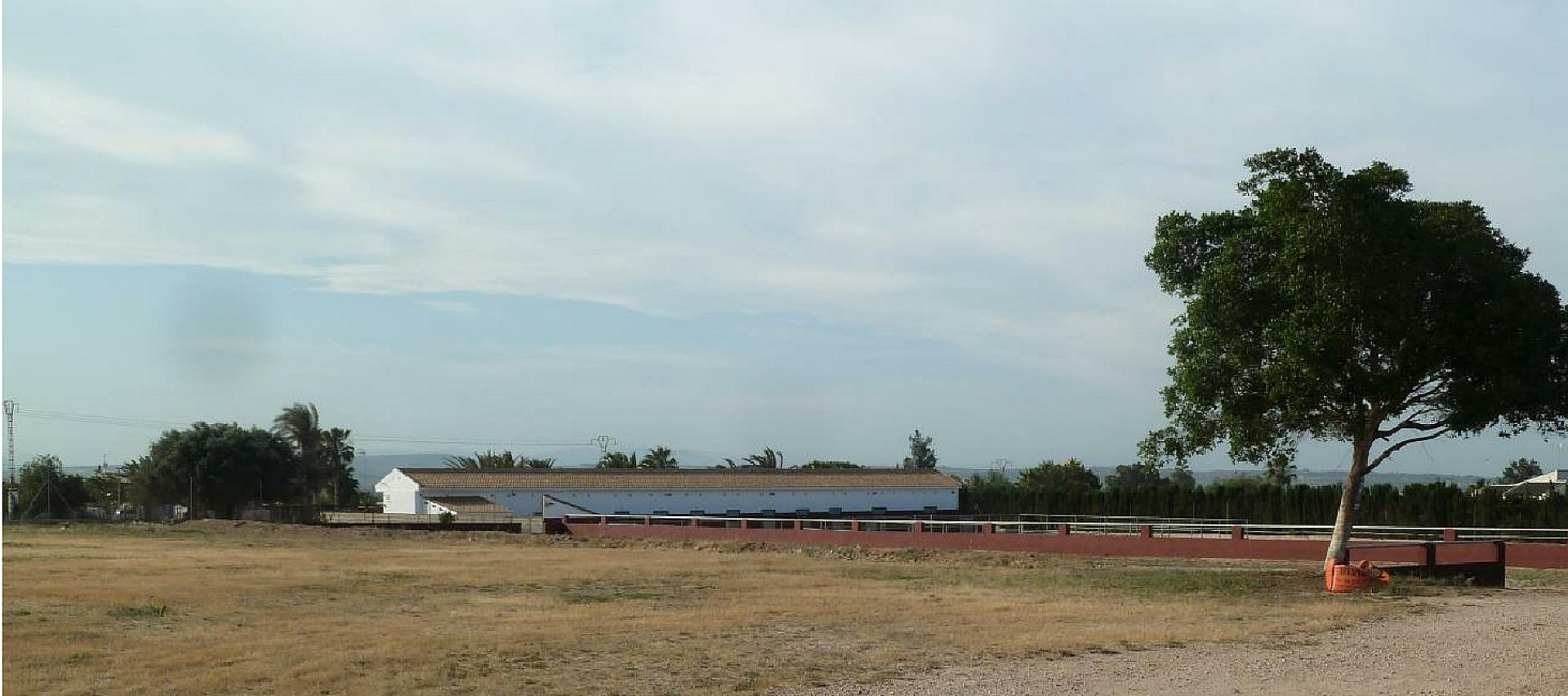 Plot of 10.006,00 m² with horse stables in San Miguel de Salinas - Lotus Properties